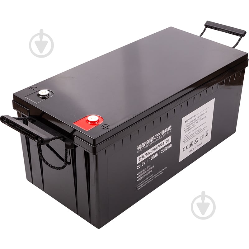 Аккумулятор PowerPlant LiFePO4 24V 100Ah (LFP24100) - фото 2
