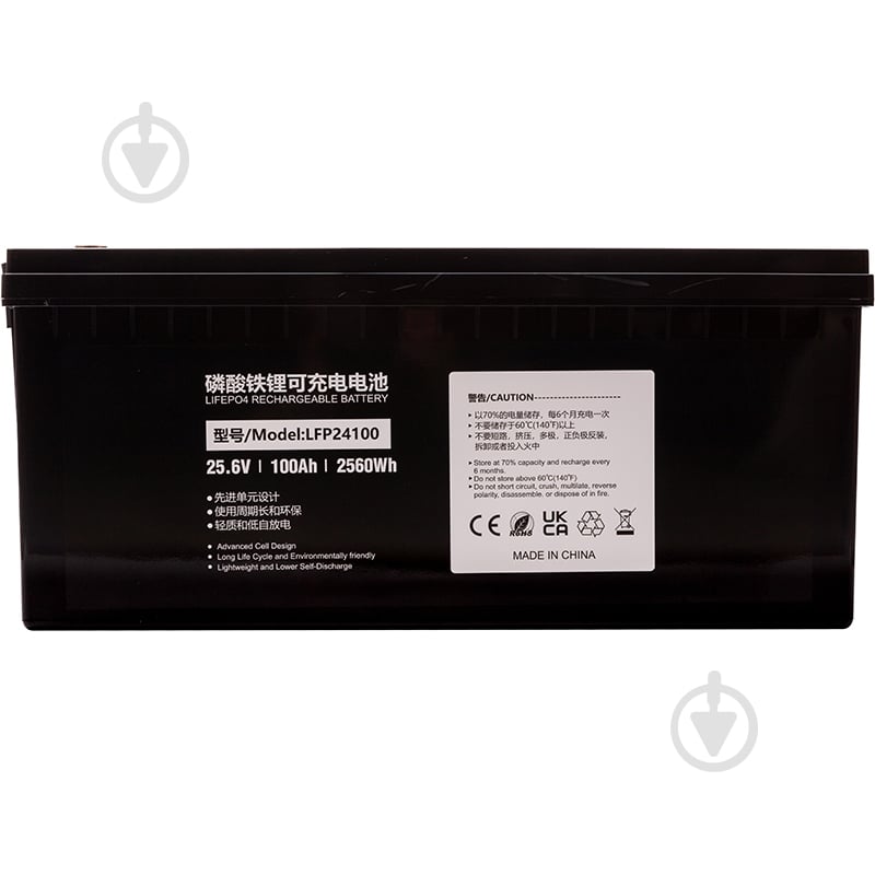 Аккумулятор PowerPlant LiFePO4 24V 100Ah (LFP24100) - фото 1