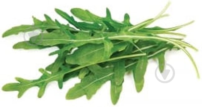 Руккола (Тропик) - фото 1 Руккола (Тропик) - фото 1