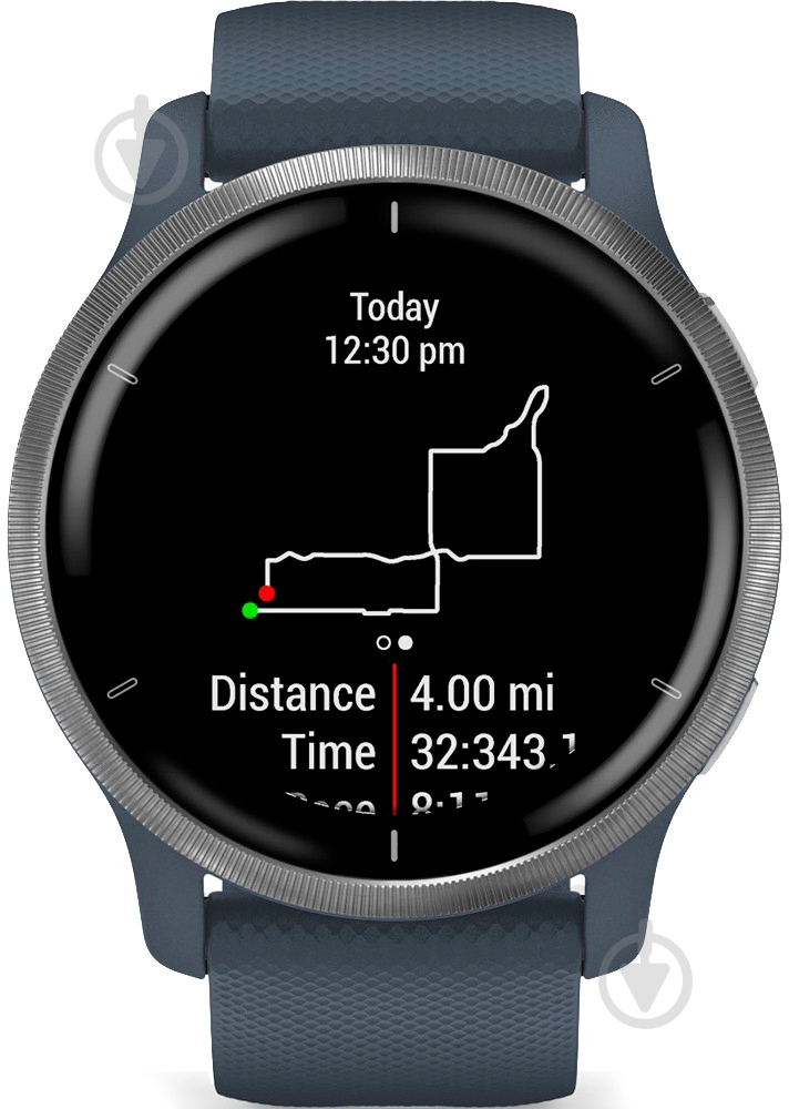 Смарт-часы Garmin Venu 2 Blue Granite/Passived (010-02430-10) - фото 4
