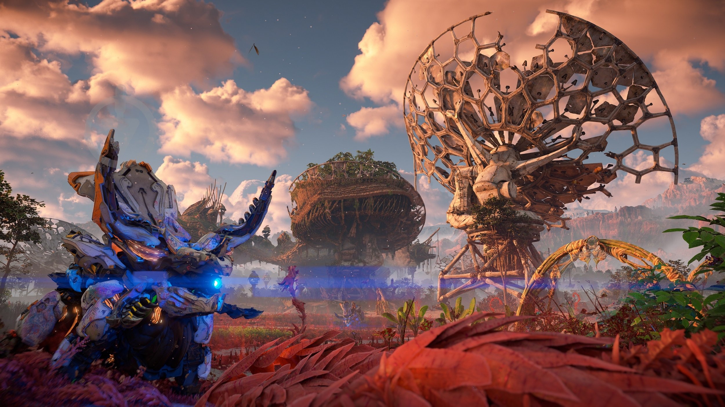 Plantation - 【未開封】PS5 Horizon Forbidden West Plantation - 【未開封】PS5 Horizon Forbidden West Horizon