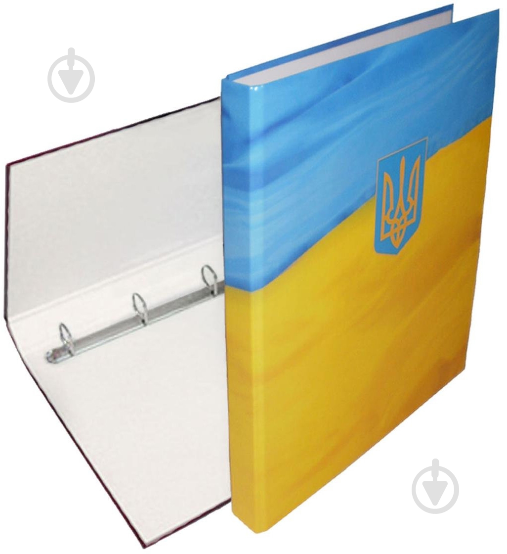 Папка 4 кольца 25мм А4, ЛЮКС, ассорти - фото 2