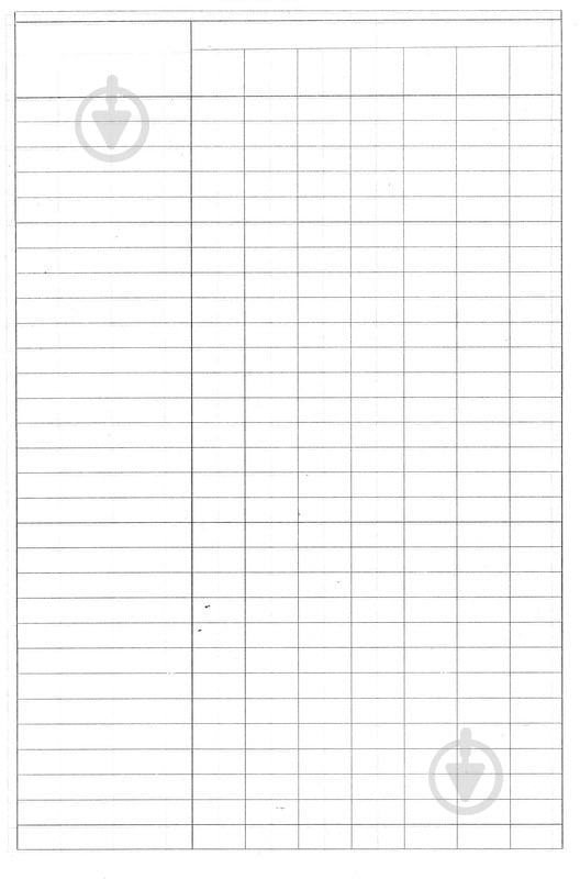 Книга пустографка А4 100 листов Romus - фото 2 Книга пустографка А4 100 листов Romus - фото 2