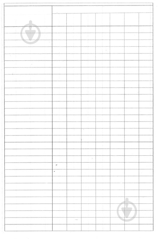 Книга пустографка А4 50 листов Romus - фото 2