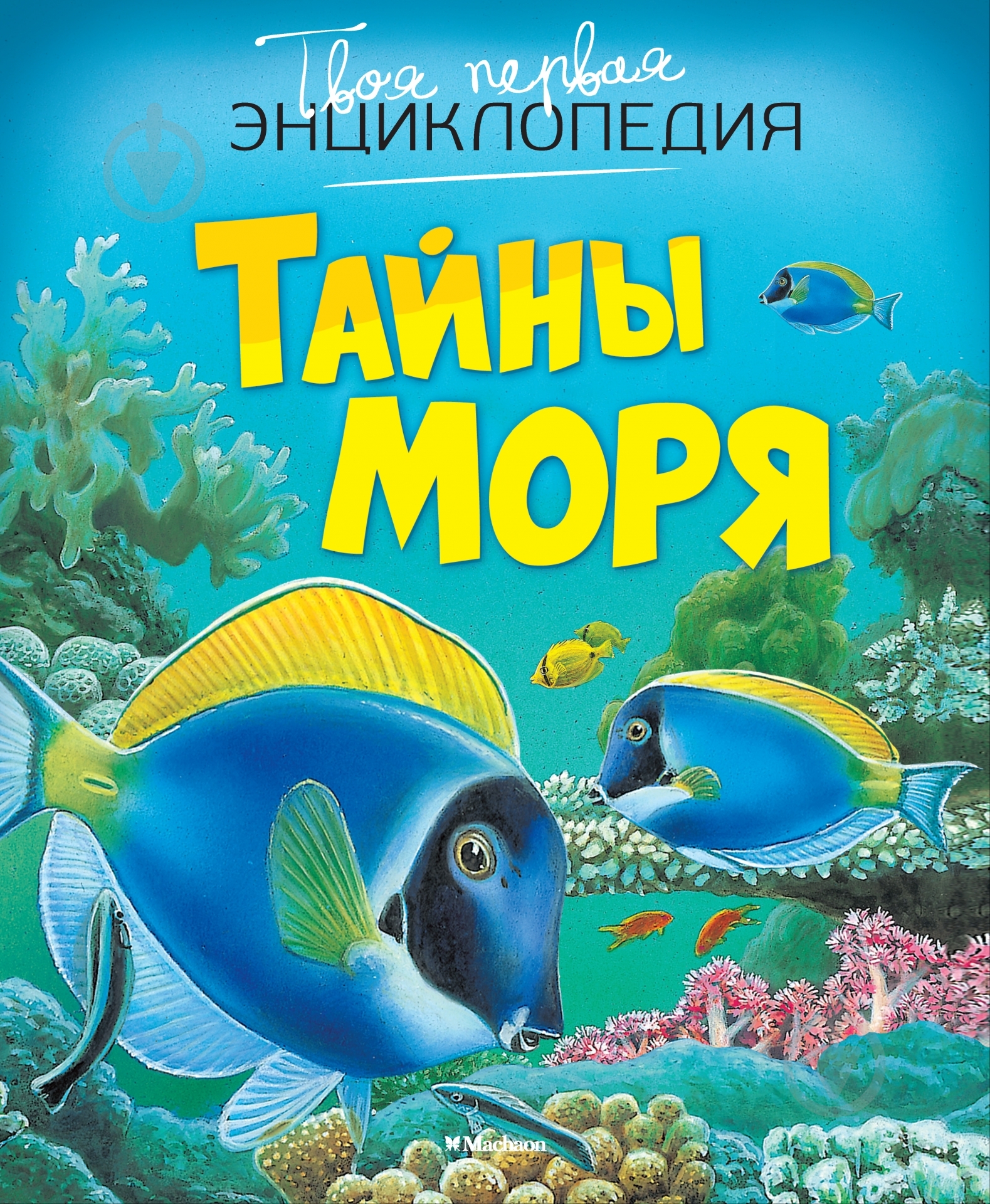 Книга Эмили Бомон «Тайны моря» 978-5-389-09387-4 - фото 1