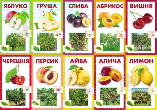 Набор учебный Фрукты - фото 1 Набор учебный Фрукты - фото 1