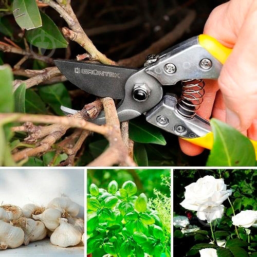 Секатор Gruntek Phoenix - фото 2