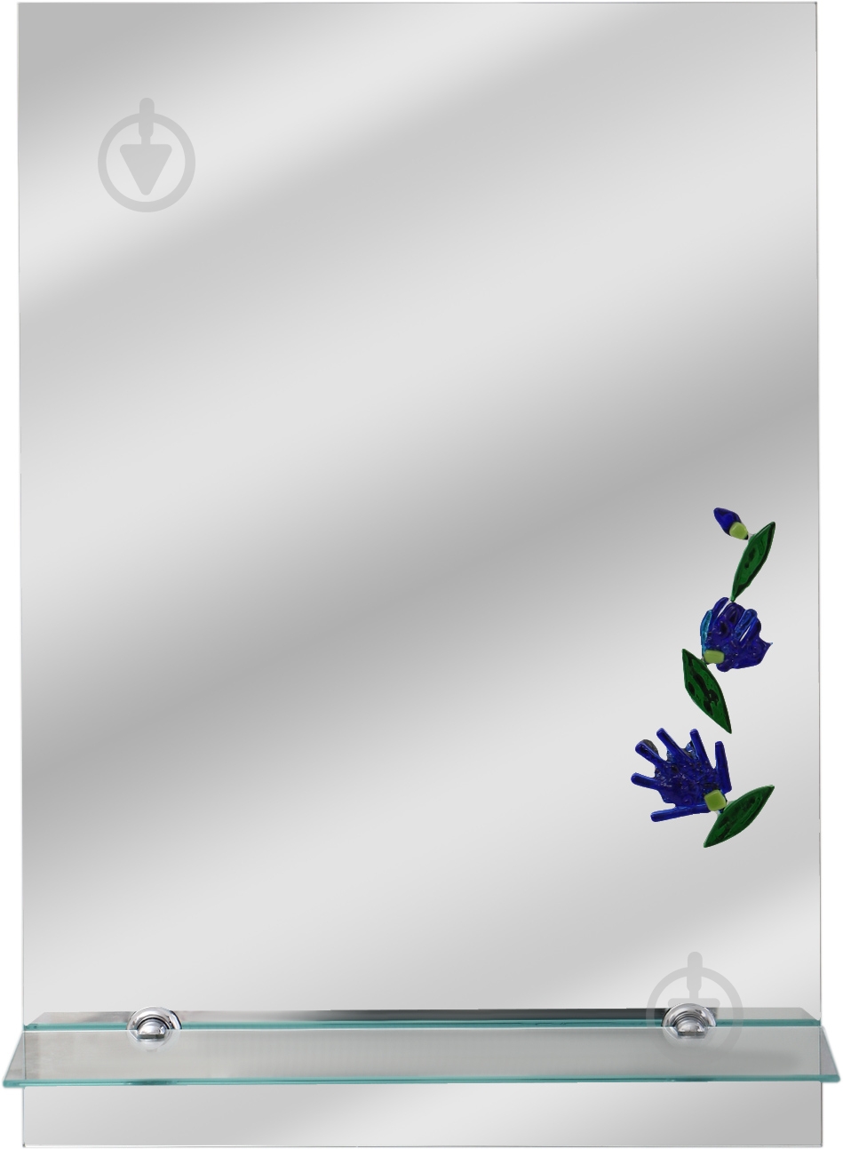 Зеркало ТЕТРА № 3е 390x560 мм - фото 1