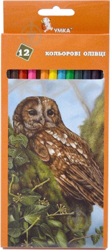 Карандаши цветные Сова 12 цветов ЦК42-14 - фото 1