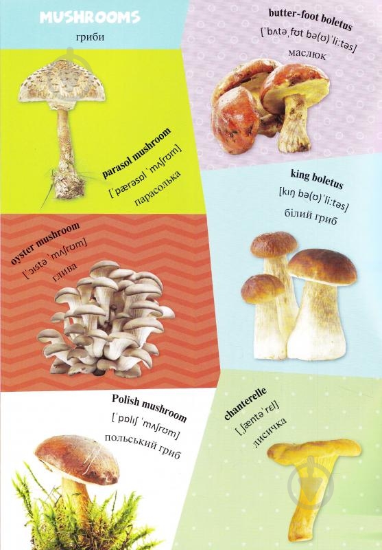Книга «Продукты» 978-617-690-199-0 - фото 3