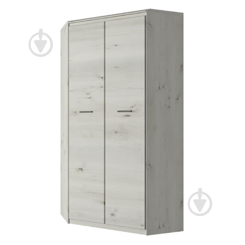 Шкаф Nonell угловой 2d ольха полярная/оникс - фото 1