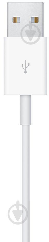 Кабель Apple Watch Magnetic Charging Cable 1 м белый (MX2E2ZM/A) - фото 4