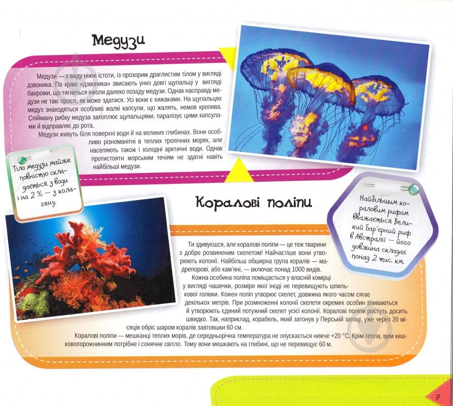 Книга «Підводний світ 3+» 978-617-690-455-7 - фото 3