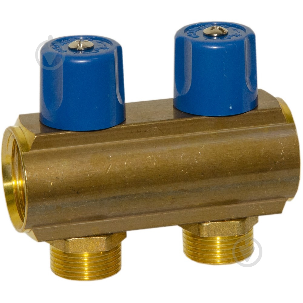 Колектор з регулюючими вентилями Bianchi O1" х 2 х 3/4" ЗР (синій) I=50 мм - фото 1 Колектор з регулюючими вентилями Bianchi O1" х 2 х 3/4" ЗР (синій) I=50 мм - фото 1