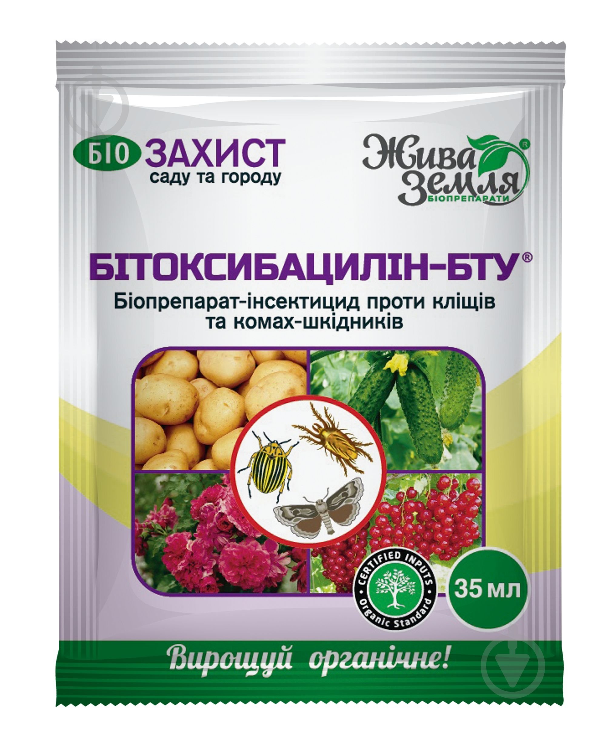 Светлана Зейналованың пышақ