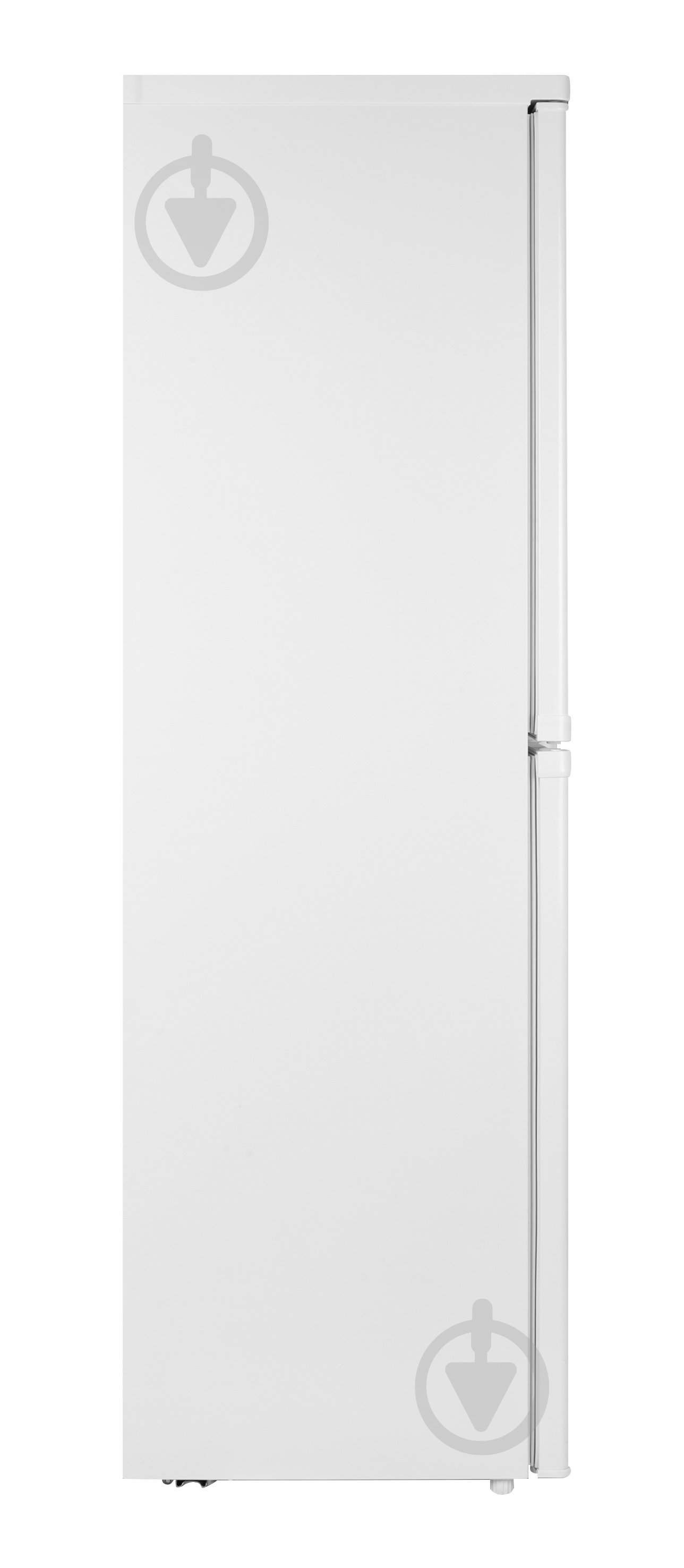 Холодильник Grifon DFN-172W - фото 5