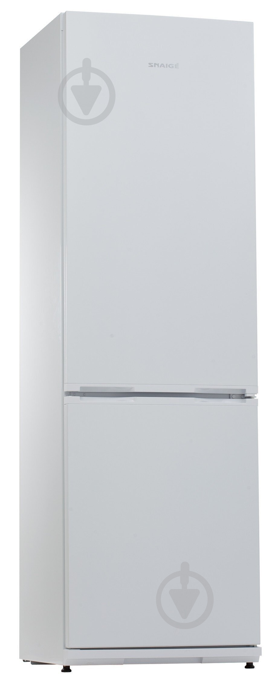 Холодильник Snaige RF36SM-S0002E - фото 1