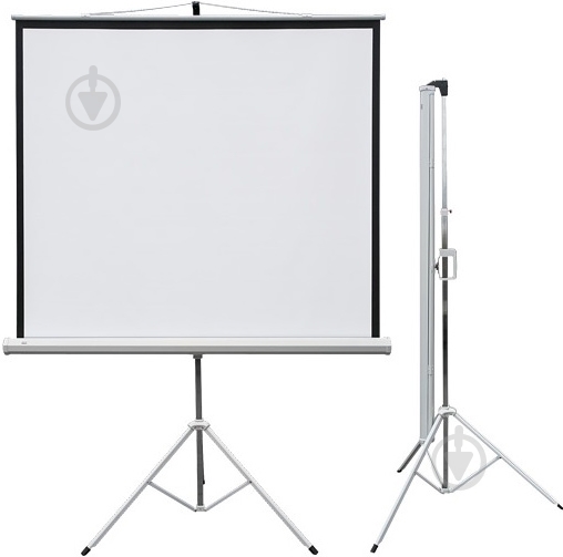 Экран 2х3 Profi tripod mobile 147х147 см ETPR1515 - фото 1