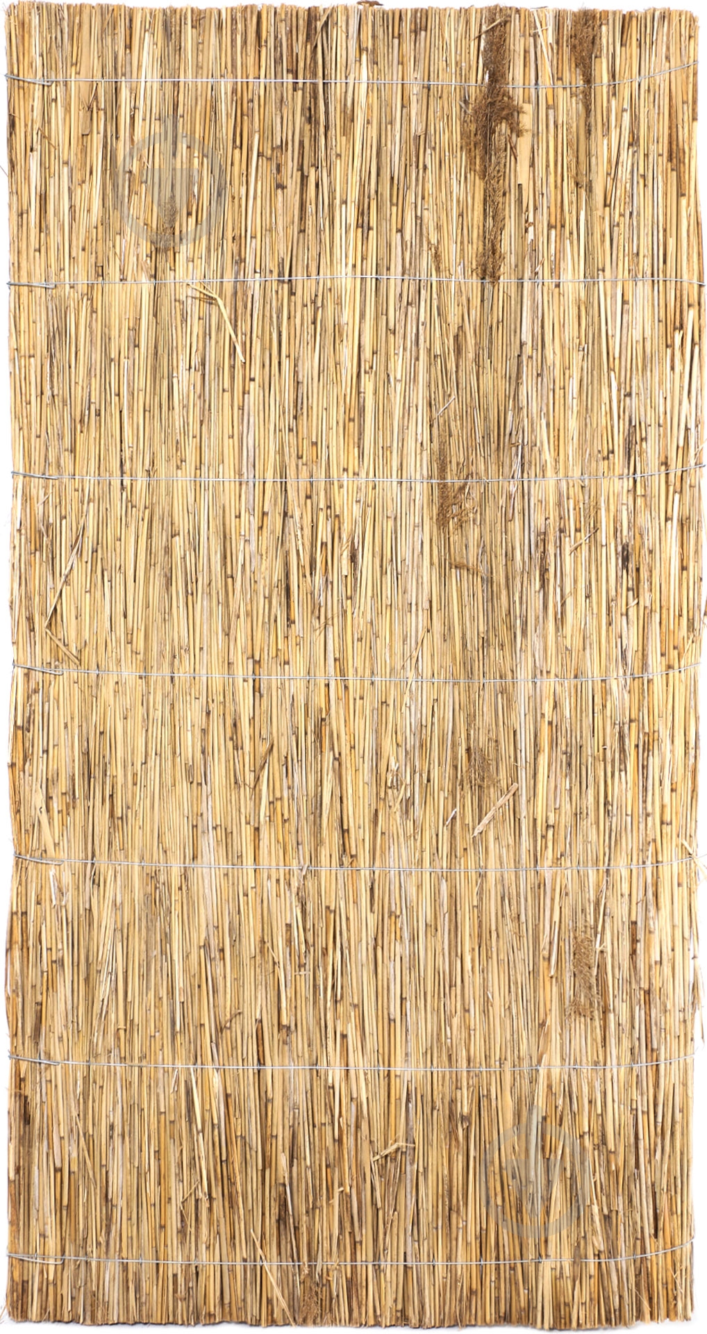 Плита з очерету  1х2 м - фото 1