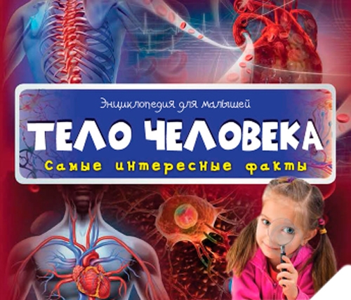 Книга «Тело человека 3+» - фото 1