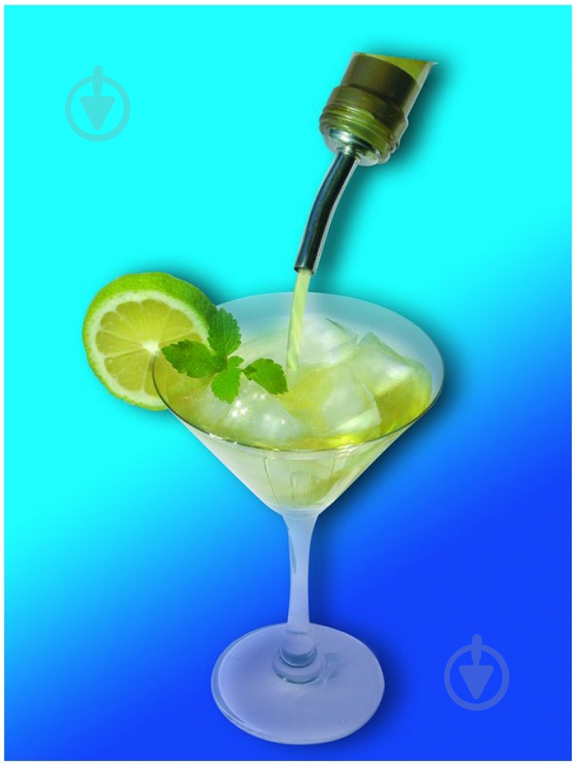 Набор пробок для бутылок Fackelmann 2 шт. 49548 - фото 2 Набор пробок для бутылок Fackelmann 2 шт. 49548 - фото 2