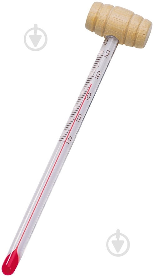 Термометр для вина Fackelmann 49472 - фото 1