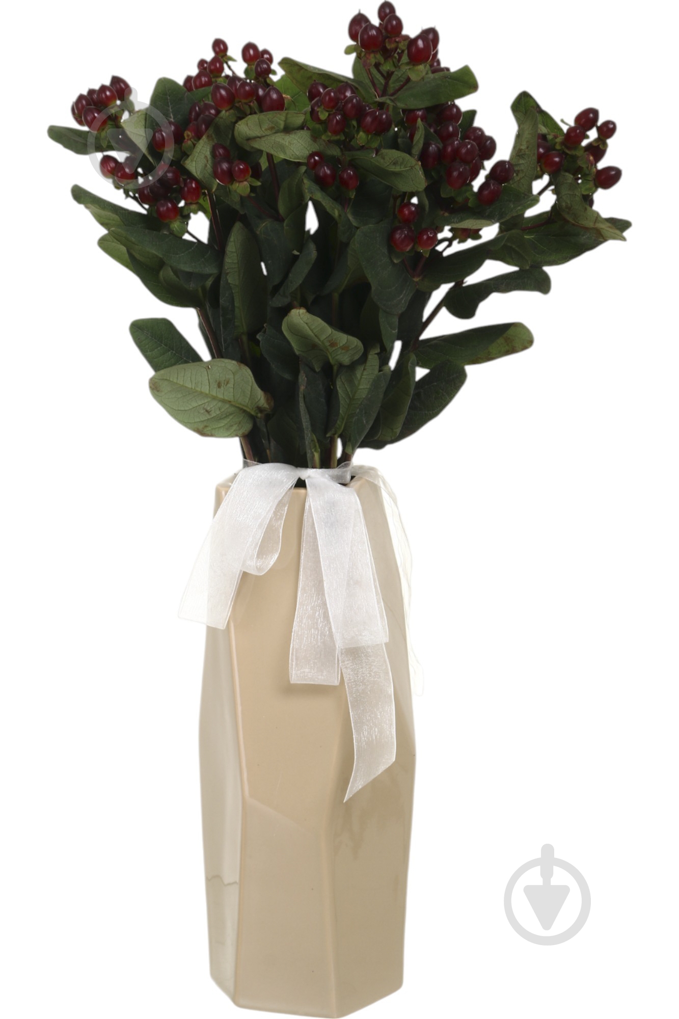 Гиперикум True Romance красный (Нидерланды) - фото 3