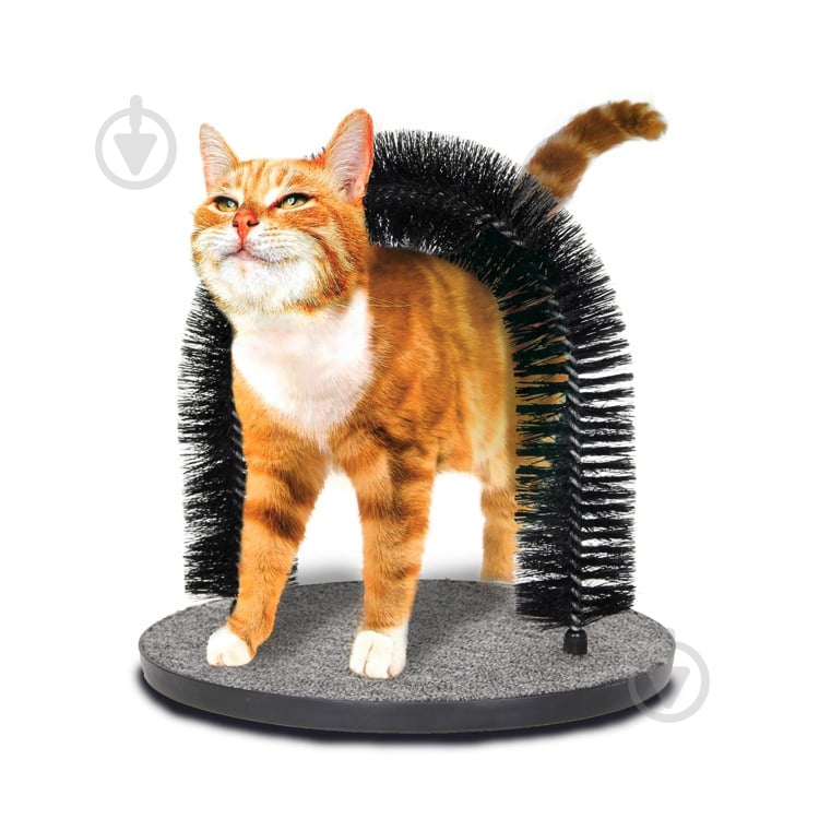 Ігровий комплекс MIAU MIAU для котів Арка 28х35 см - фото 1 Ігровий комплекс MIAU MIAU для котів Арка 28х35 см - фото 1