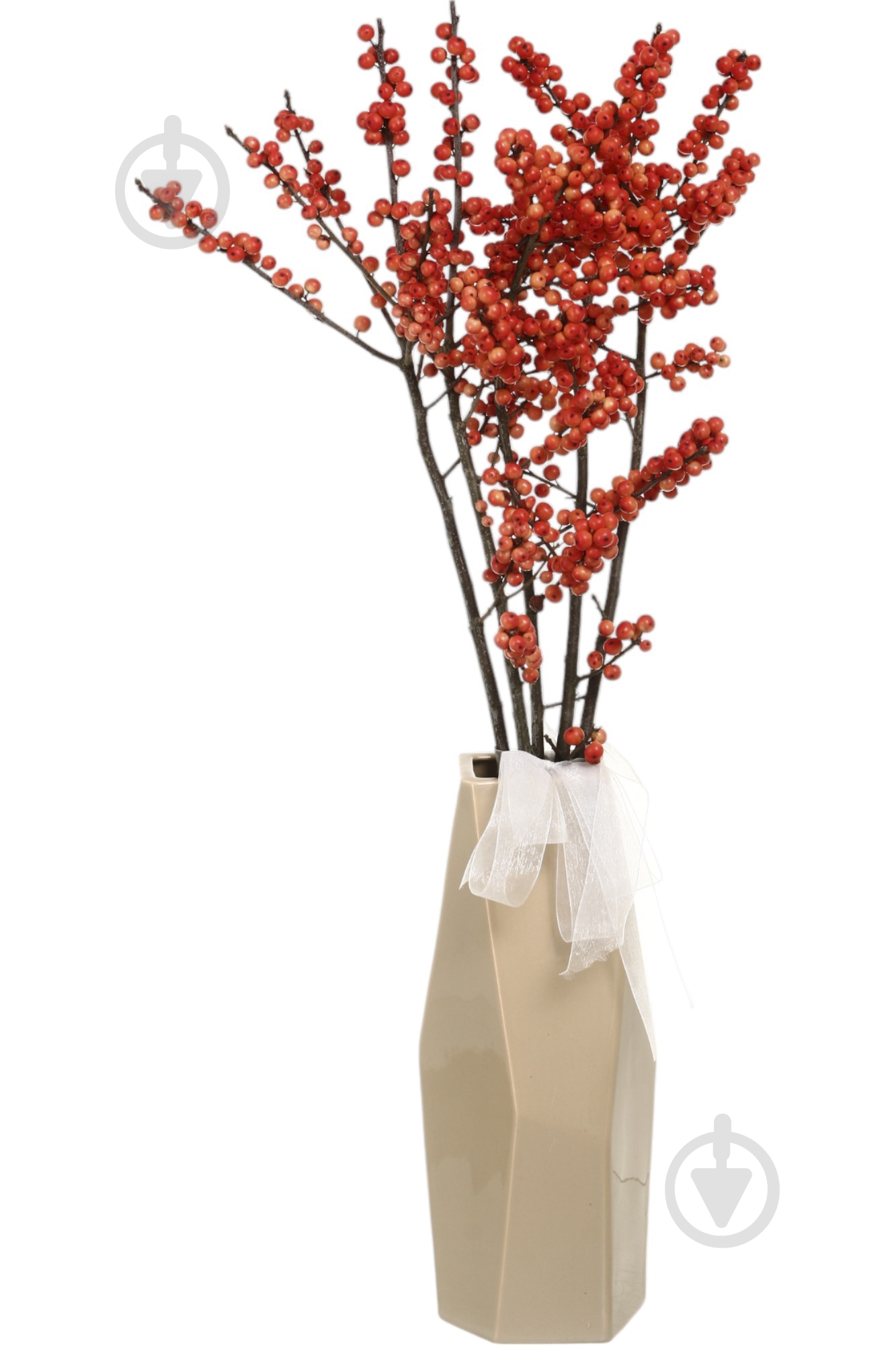 Ілекс 70 см помаранчевий (Нідерланди) - фото 3