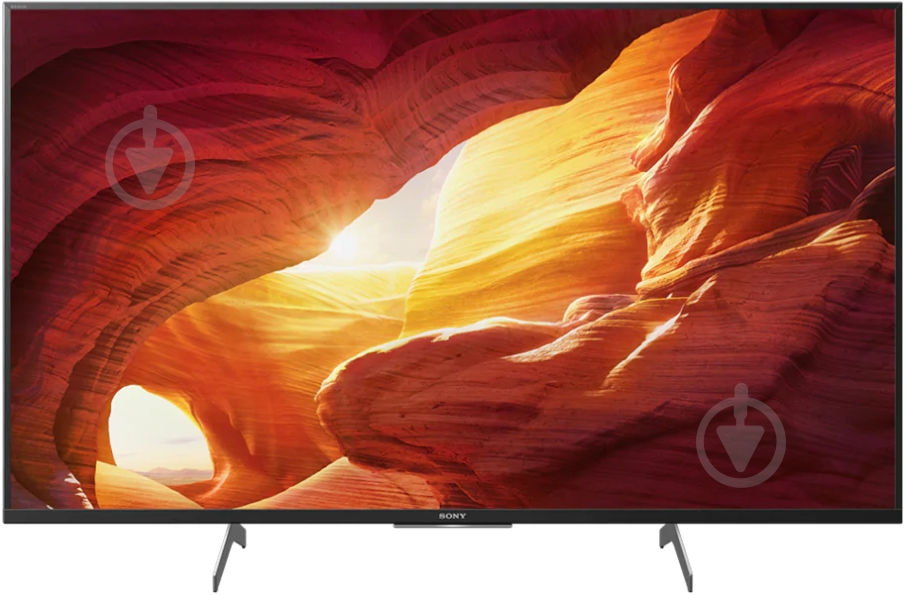 Телевизор Sony KD49XH8596BR - фото 1