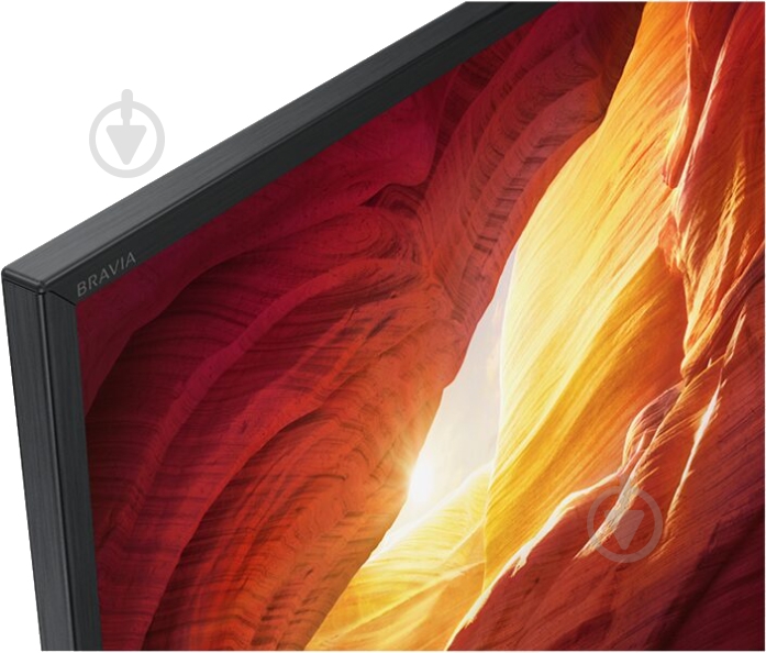 Телевизор Sony KD49XH8596BR - фото 4
