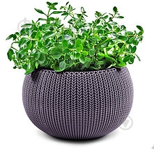 Горщик пластиковий Keter Cozies M овальний фіолетовий - фото 1