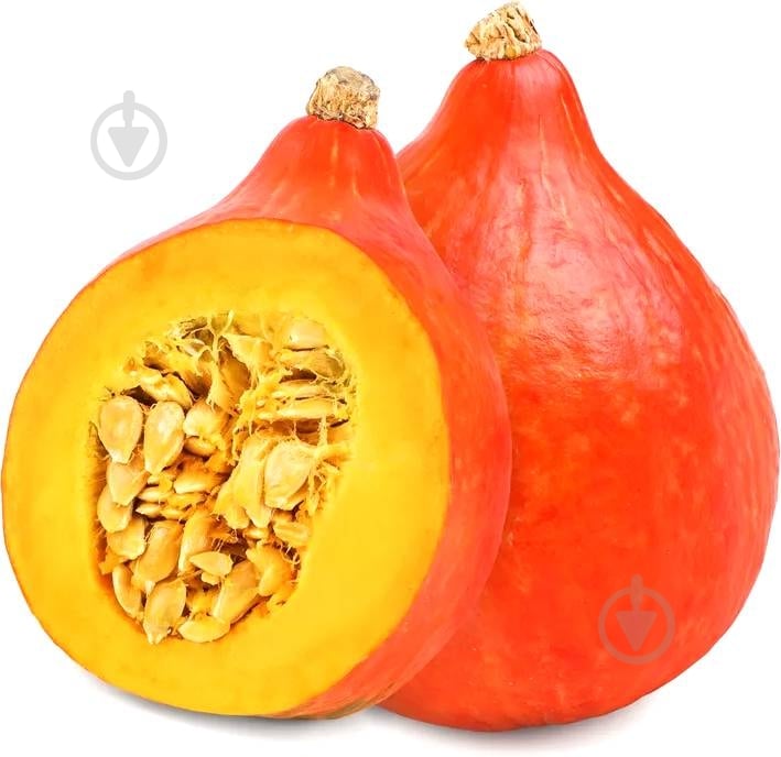 Тыква Хокайдо - фото 1