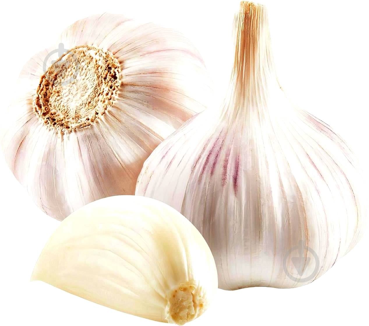 Чеснок 3 шт. - фото 1 Чеснок 3 шт. - фото 1