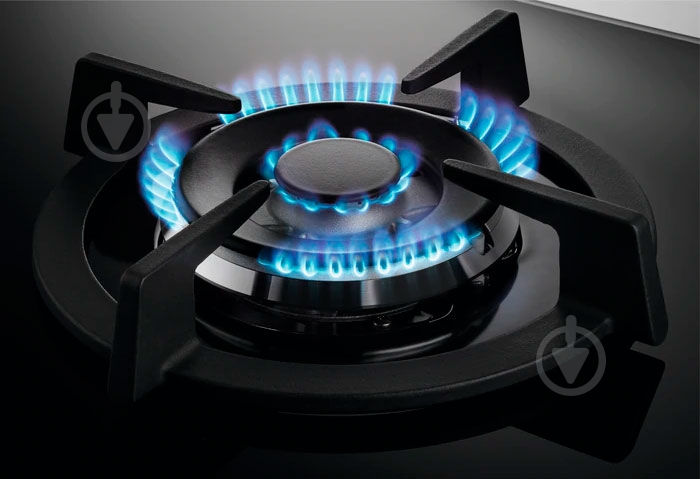 Варочная поверхность газовая Zanussi GPZ363LK - фото 10 Варочная поверхность газовая Zanussi GPZ363LK - фото 10