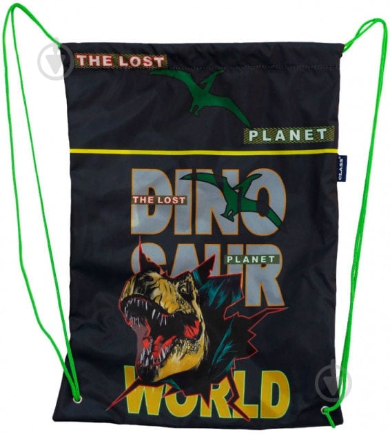 Сумка для обуви Dino World 46 х 33 см CLASS - фото 1