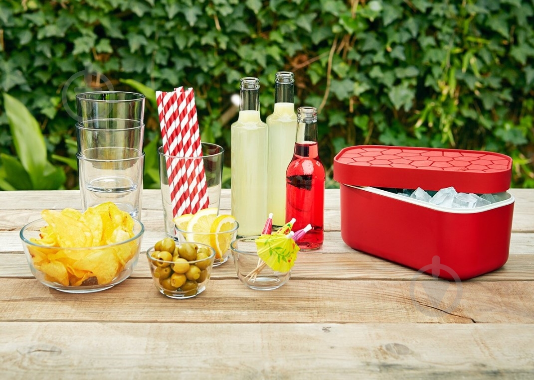 Форма для льда Lekue Ice & Ice Trays 882487 - фото 2 Форма для льда Lekue Ice & Ice Trays 882487 - фото 2