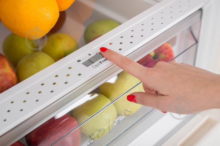 Холодильник Sharp SJ-BA10IMXJ1-UA - фото 15 Холодильник Sharp SJ-BA10IMXJ1-UA - фото 15