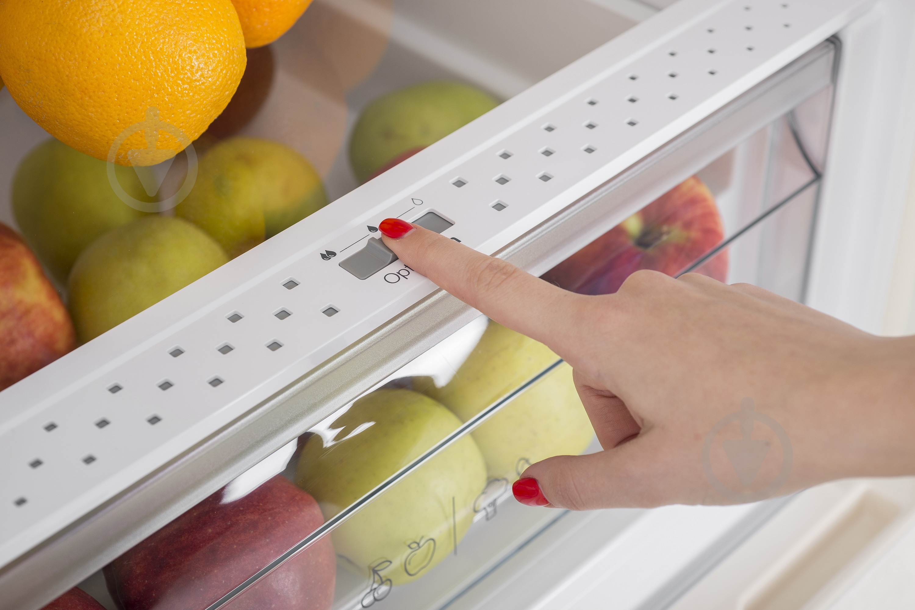 Холодильник Sharp SJ-BA20IHXJ1-UA - фото 32