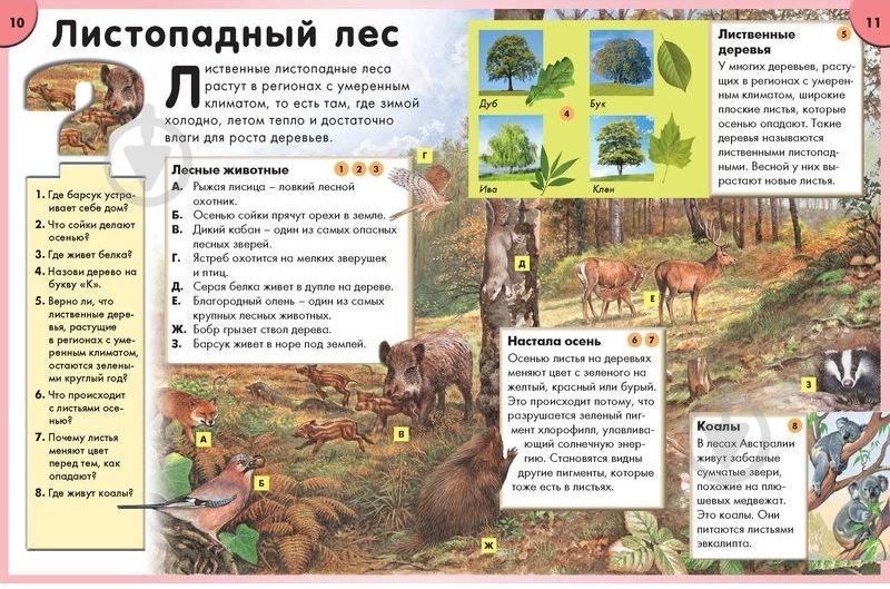 Книга «Природа. Интерактивная энциклопедия» 978-5-389-02227-0 - фото 3