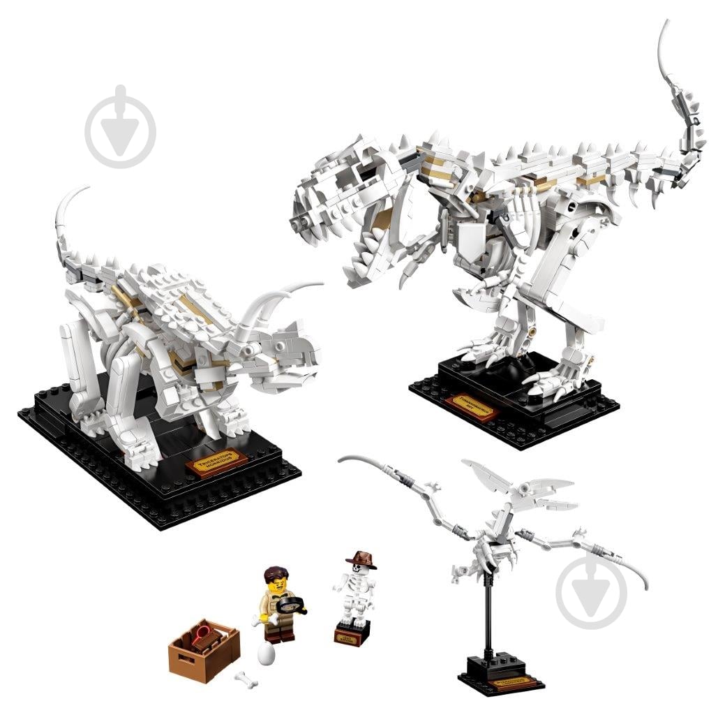 Конструктор LEGO Ideas Кости динозавра 21320 - фото 5 Конструктор LEGO Ideas Кости динозавра 21320 - фото 5