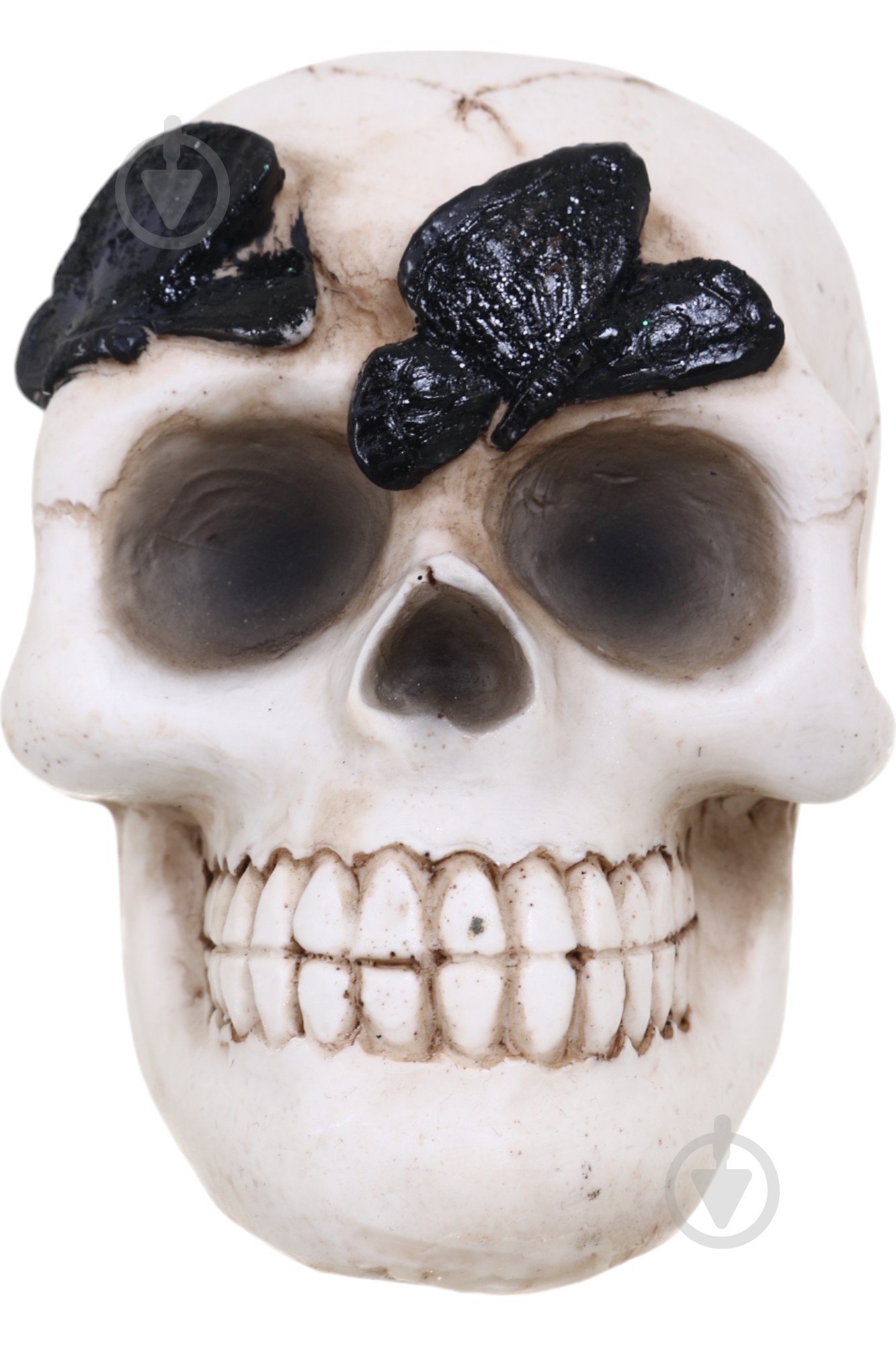 Статуетка Koopman Skull with Butterfly APF952120 9х8х7 см бежевий - фото 1 Статуетка Koopman Skull with Butterfly APF952120 9х8х7 см бежевий - фото 1