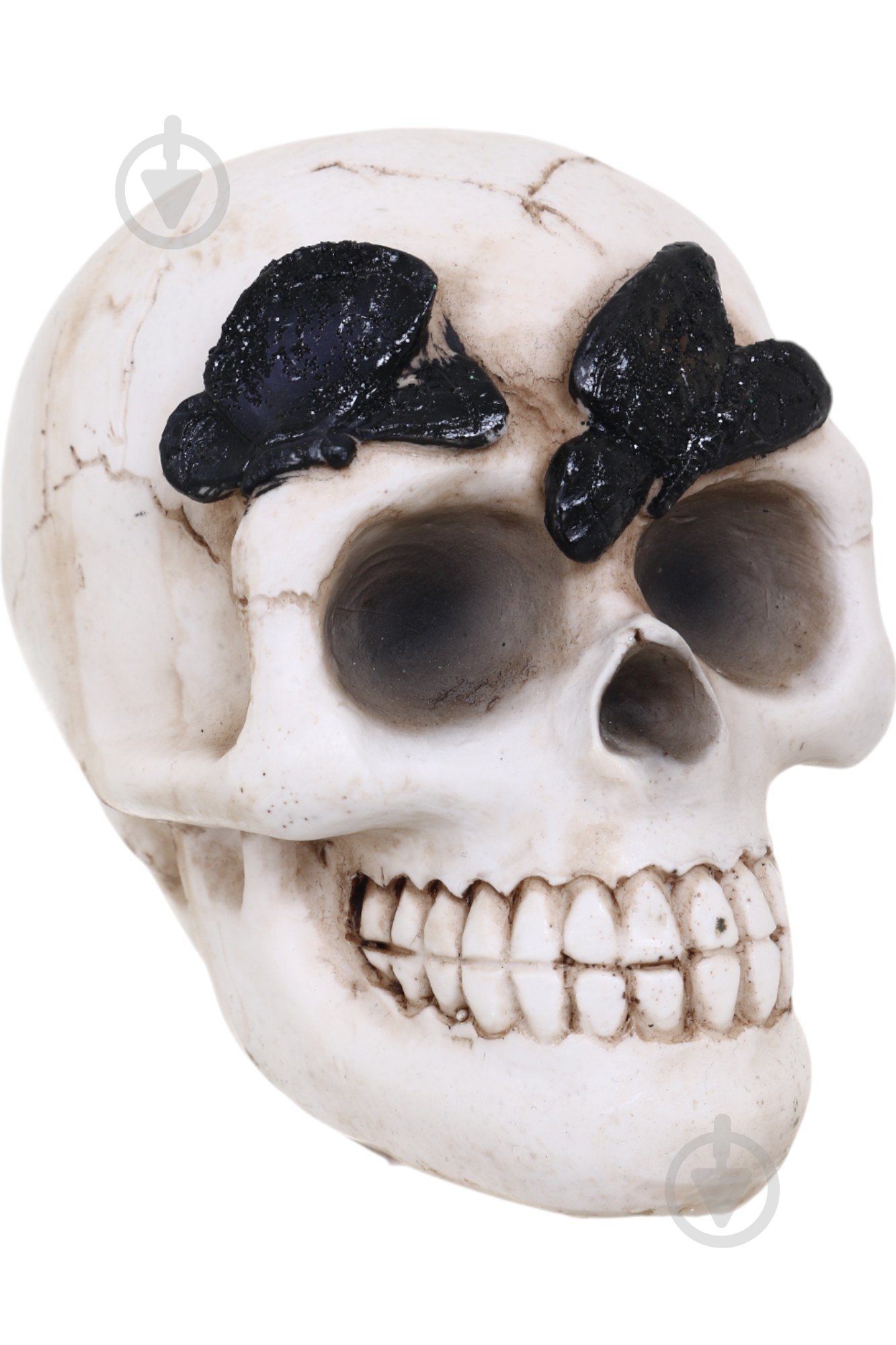 Статуетка Koopman Skull with Butterfly APF952120 9х8х7 см бежевий - фото 2 Статуетка Koopman Skull with Butterfly APF952120 9х8х7 см бежевий - фото 2