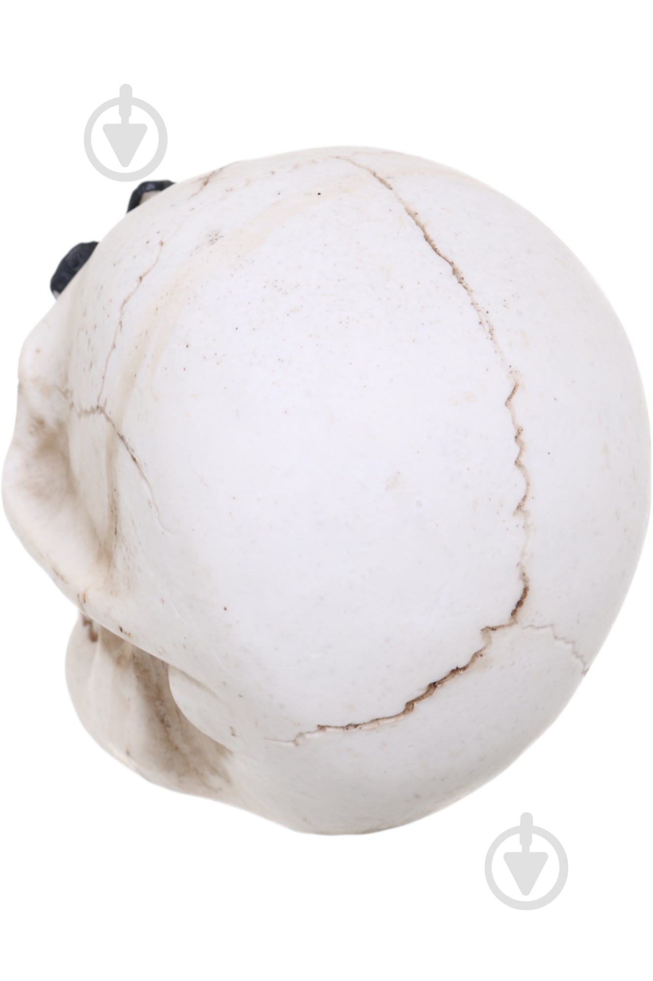 Статуетка Koopman Skull with Butterfly APF952120 9х8х7 см бежевий - фото 3 Статуетка Koopman Skull with Butterfly APF952120 9х8х7 см бежевий - фото 3