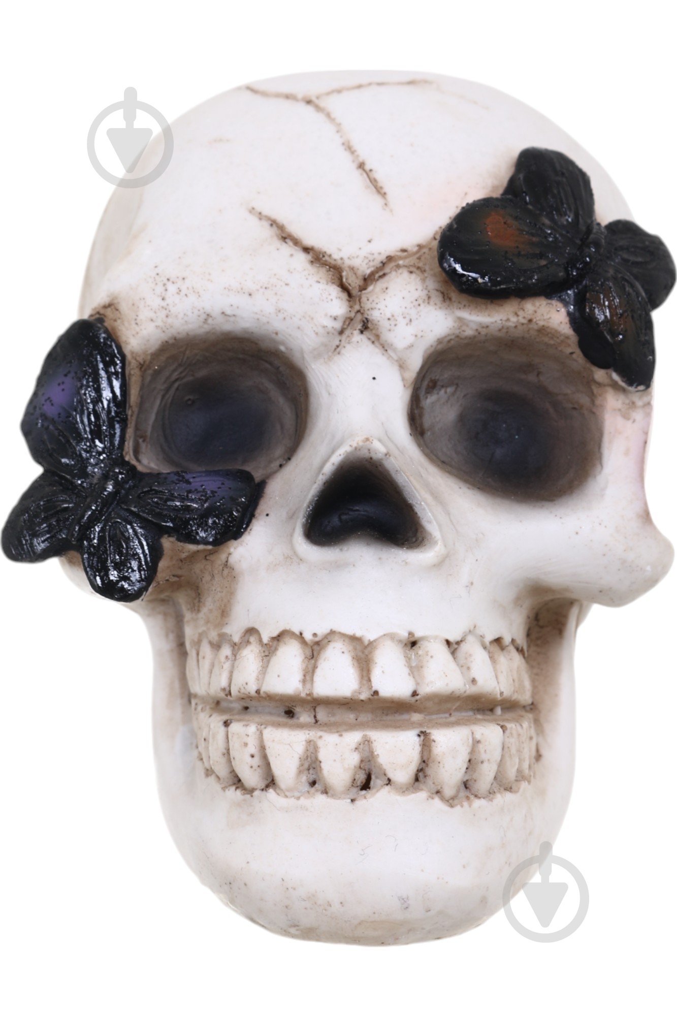 Статуетка Koopman Skull with Butterfly APF952120 9х8х7 см бежевий - фото 4 Статуетка Koopman Skull with Butterfly APF952120 9х8х7 см бежевий - фото 4