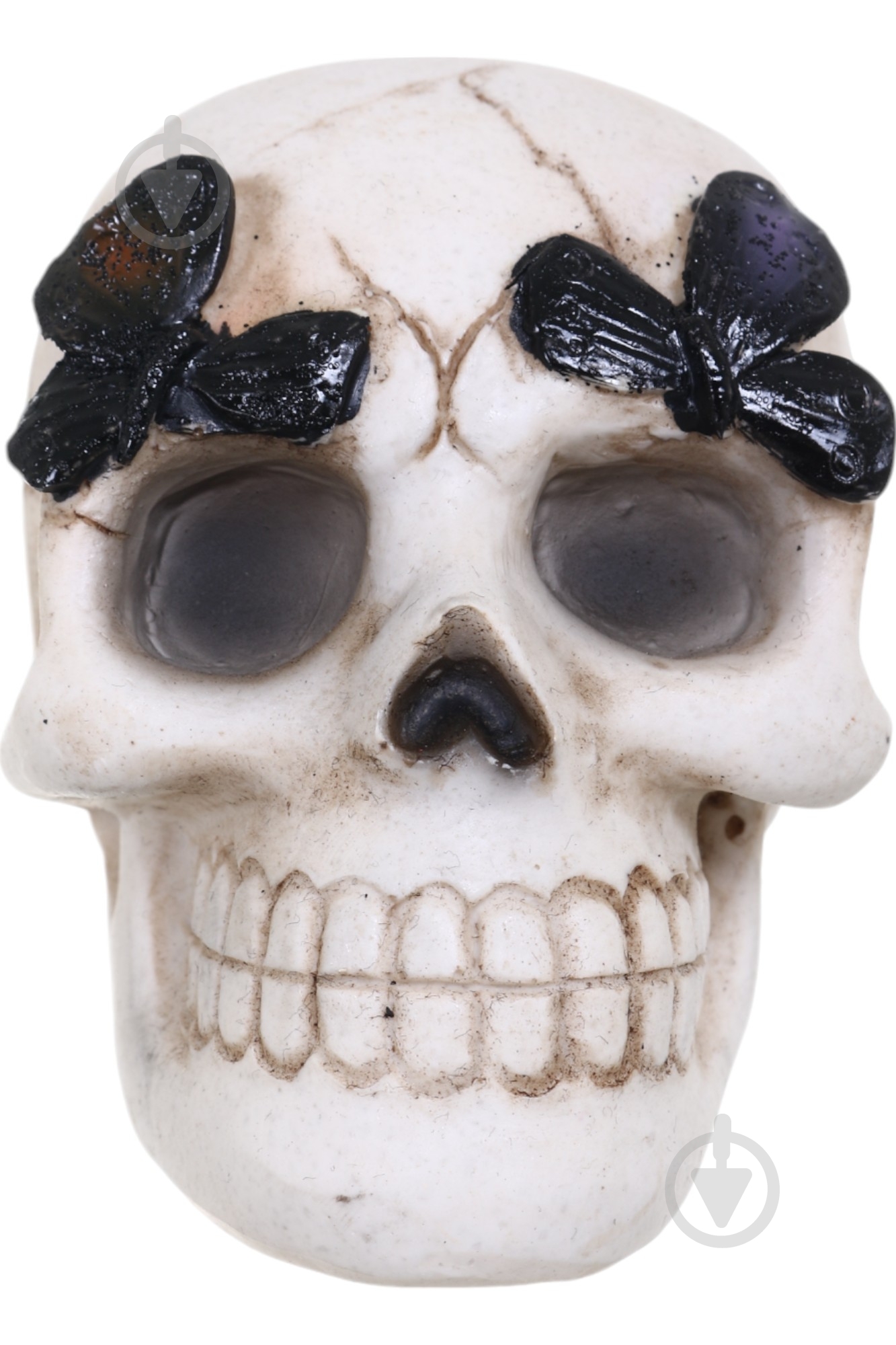 Статуетка Koopman Skull with Butterfly APF952120 9х8х7 см бежевий - фото 6 Статуетка Koopman Skull with Butterfly APF952120 9х8х7 см бежевий - фото 6