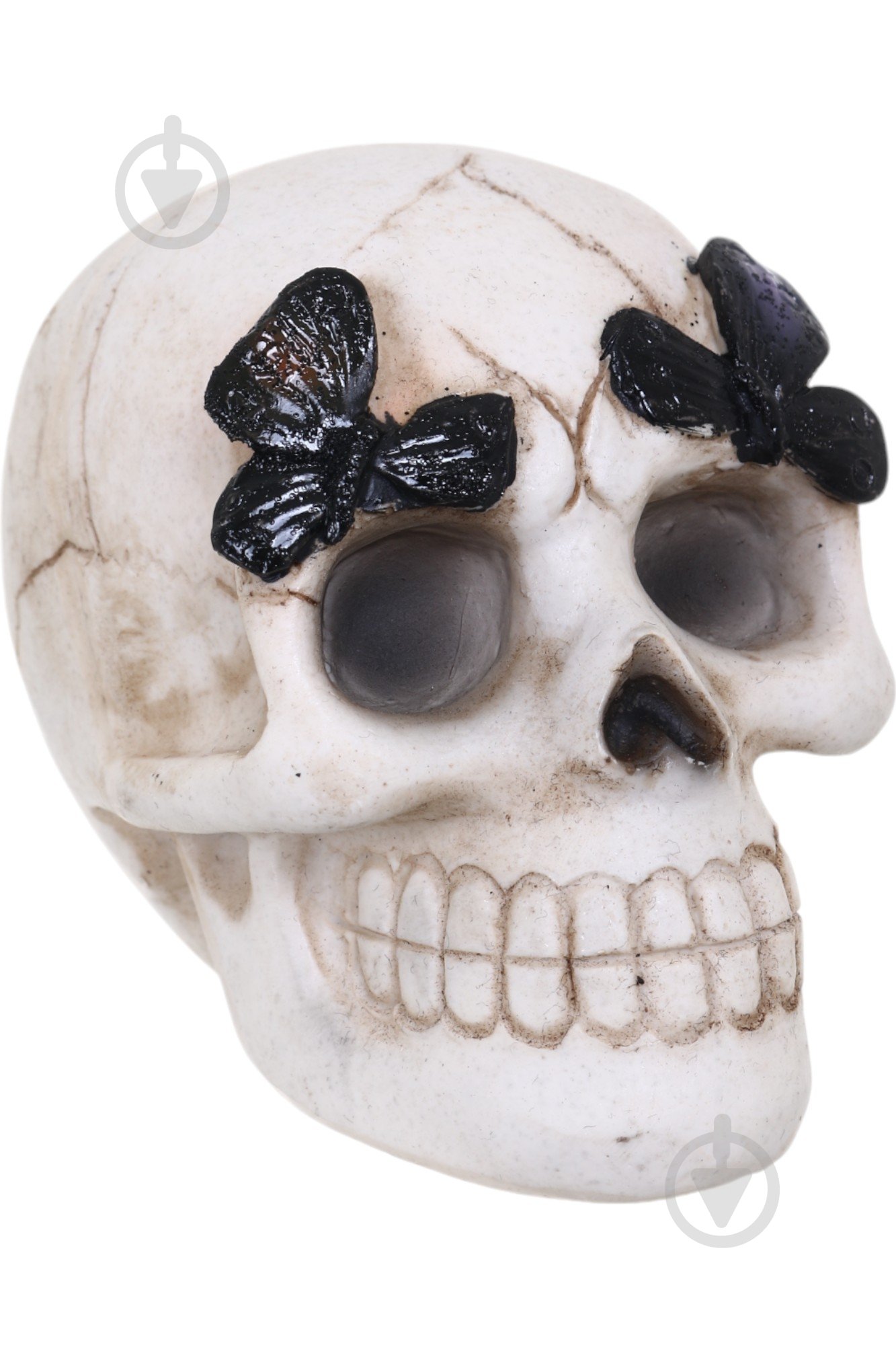 Статуетка Koopman Skull with Butterfly APF952120 9х8х7 см бежевий - фото 7 Статуетка Koopman Skull with Butterfly APF952120 9х8х7 см бежевий - фото 7