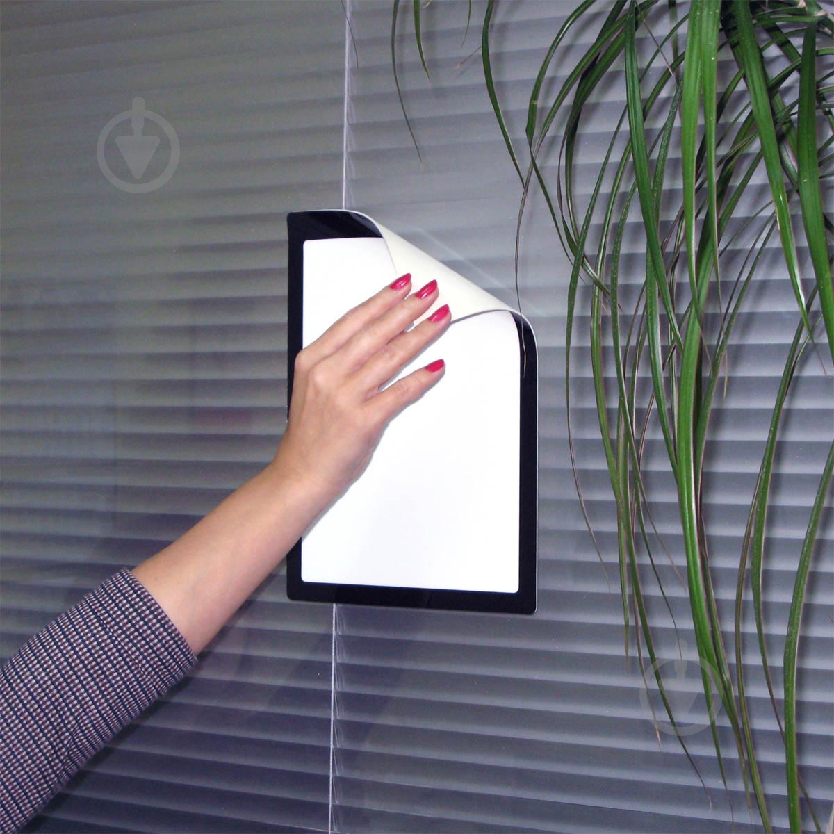 Дошка Agent самоклеюча Memo Board 29,7x20,9 - фото 4