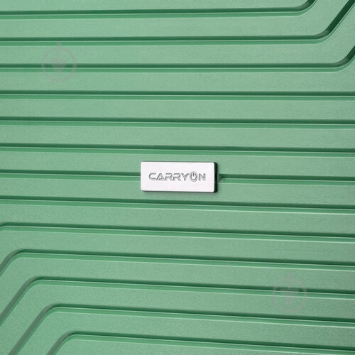 Чемодан CarryOn Transport (L) Olive 502404 100 л - фото 7