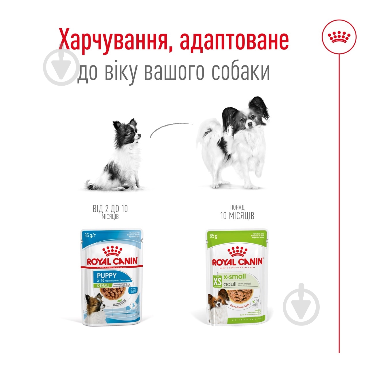 ᐉ Корм влажный Royal Canin X-Small Adult Gravy 85 г • Купить в